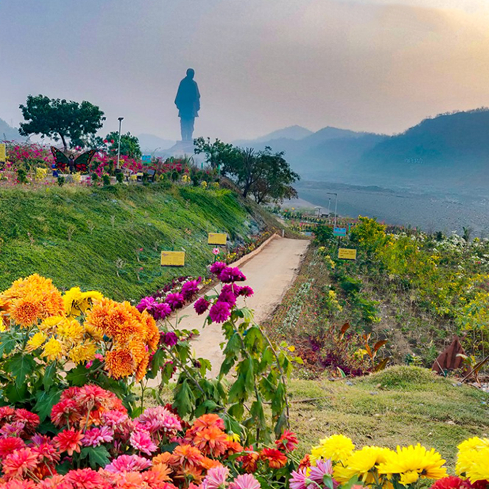Attraction 4: Valley-of-Flowers
